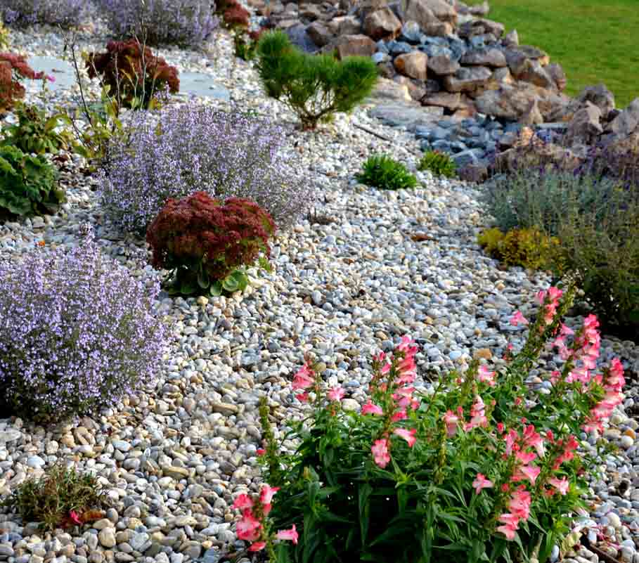 Gravillons décoratifs entourés de plantes